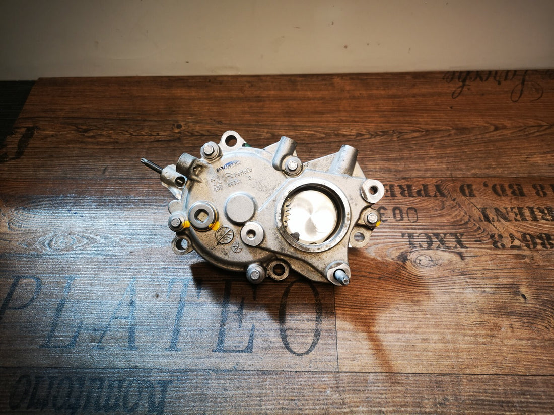 Original Peugeot Citroen 2.0 Kraftstoffpumpe Hochdruckpumpe 9674992180 