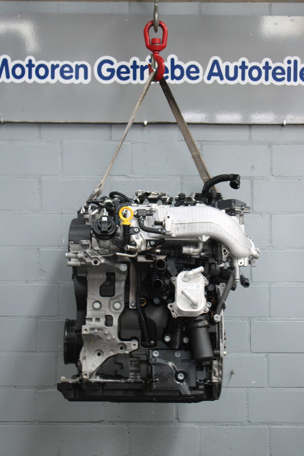 Volkswagen Golf VIII 2.0 TDI Motor · DTS
