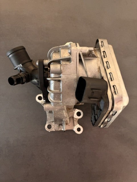 Wasserpumpe für Renault Austral 210100445R